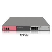 SandBlast Appliance  TE250X